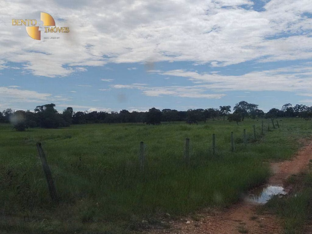 Fazenda de 990 ha em Poconé, MT