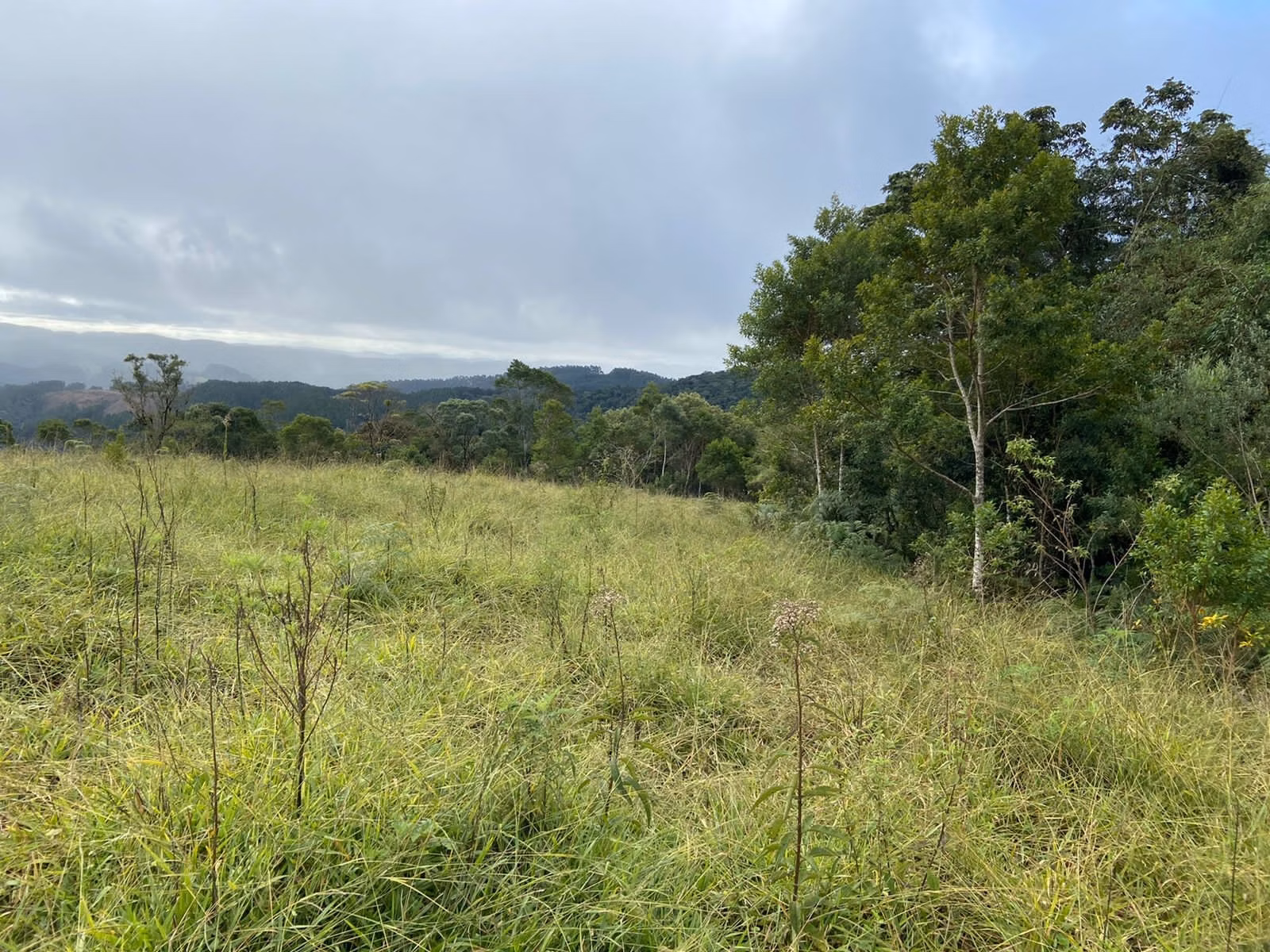 Fazenda de 189 ha em Ribeirão Branco, SP