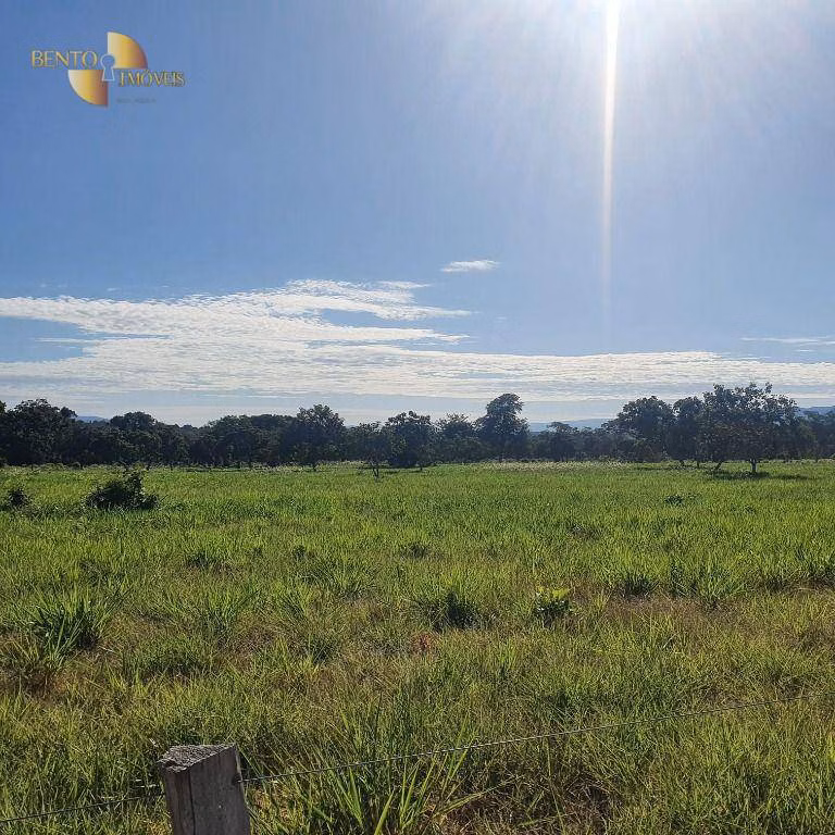 Fazenda de 247 ha em Cáceres, MT