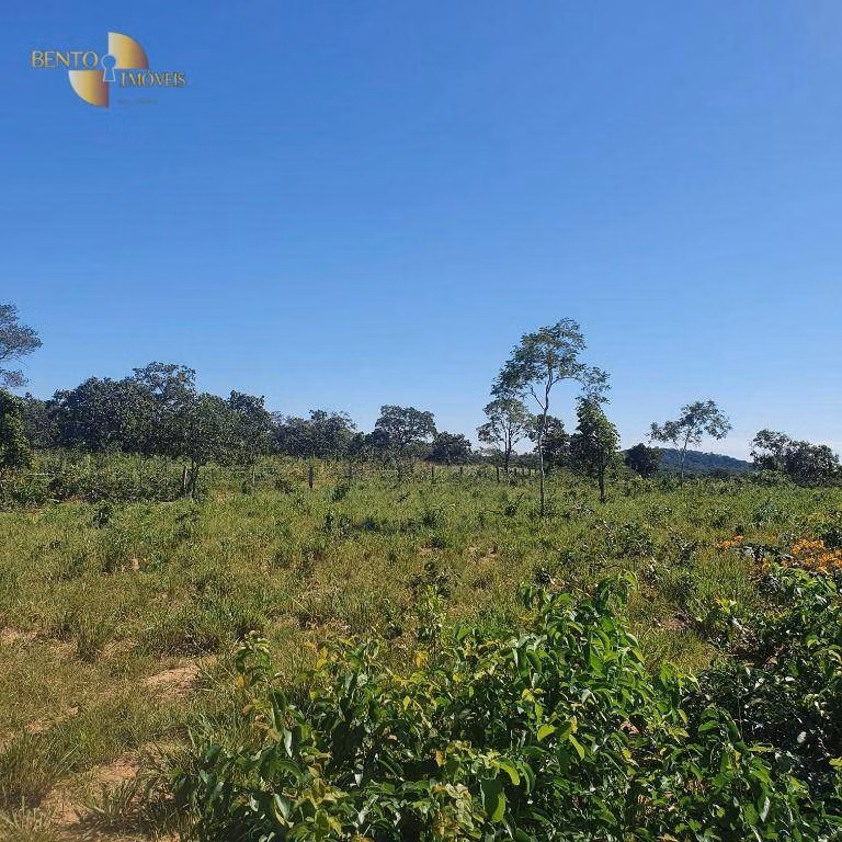 Fazenda de 247 ha em Cáceres, MT