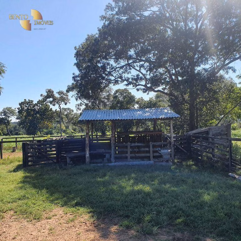 Fazenda de 247 ha em Cáceres, MT
