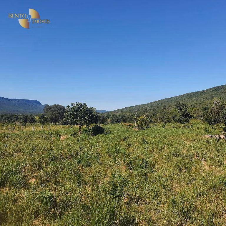 Fazenda de 247 ha em Cáceres, MT