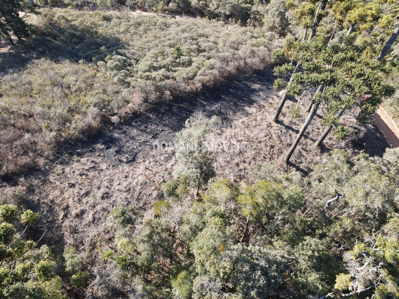 Plot of 1,100 m² in Campos do Jordão, SP, Brazil