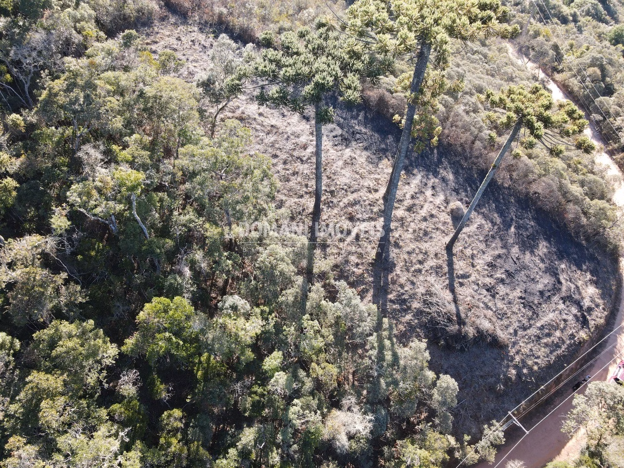 Plot of 1,100 m² in Campos do Jordão, SP, Brazil