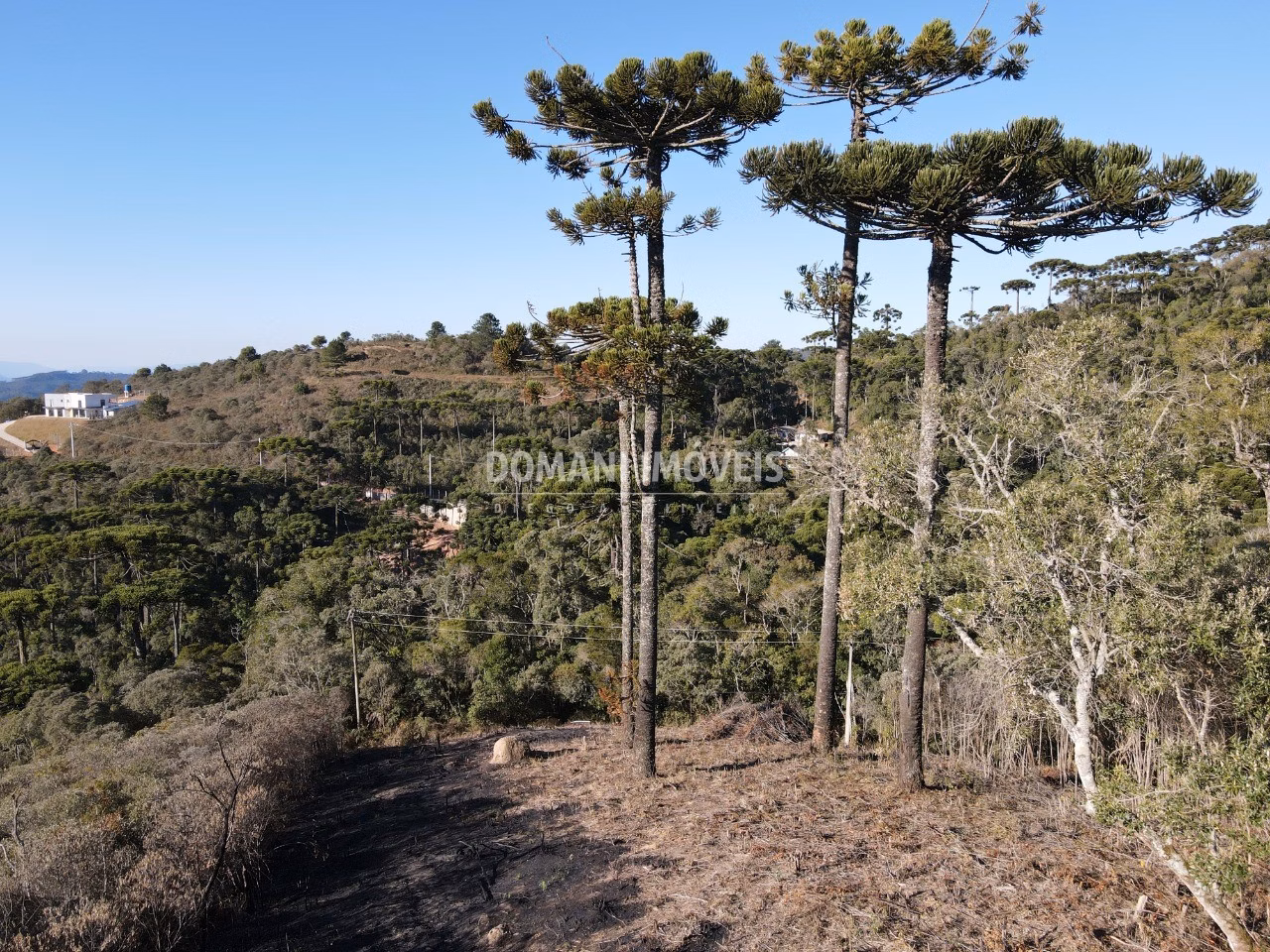 Plot of 1,100 m² in Campos do Jordão, SP, Brazil