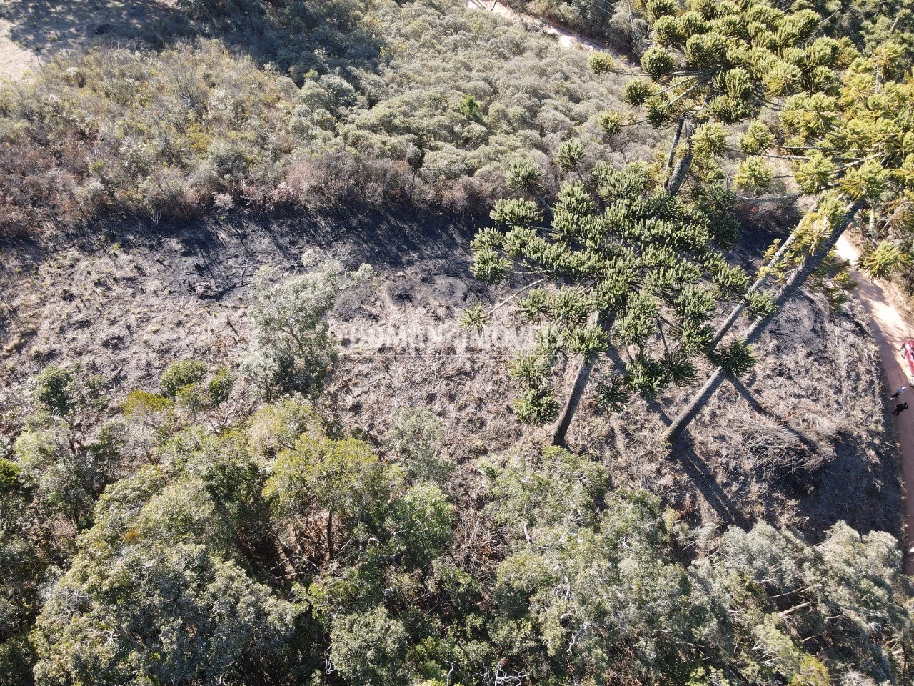Plot of 1,100 m² in Campos do Jordão, SP, Brazil