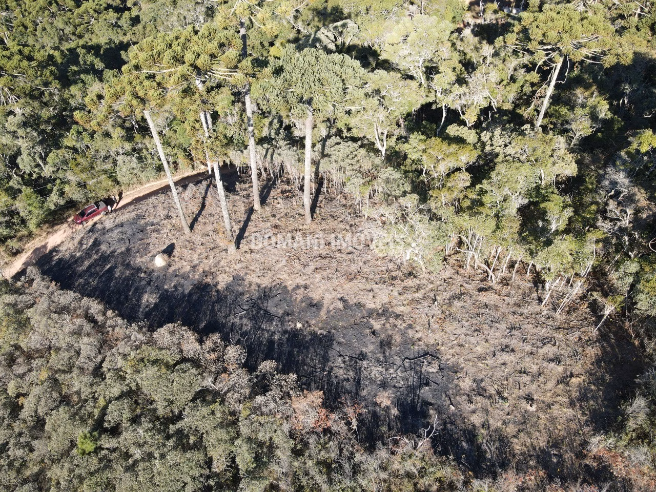 Plot of 1,100 m² in Campos do Jordão, SP, Brazil