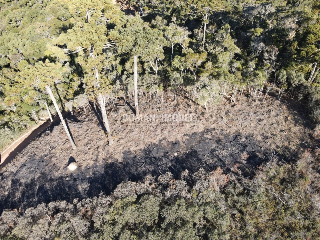 Plot of 1,100 m² in Campos do Jordão, SP, Brazil