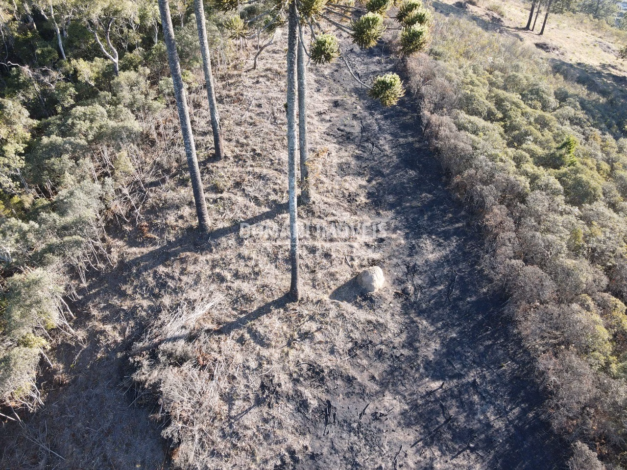 Plot of 1,100 m² in Campos do Jordão, SP, Brazil