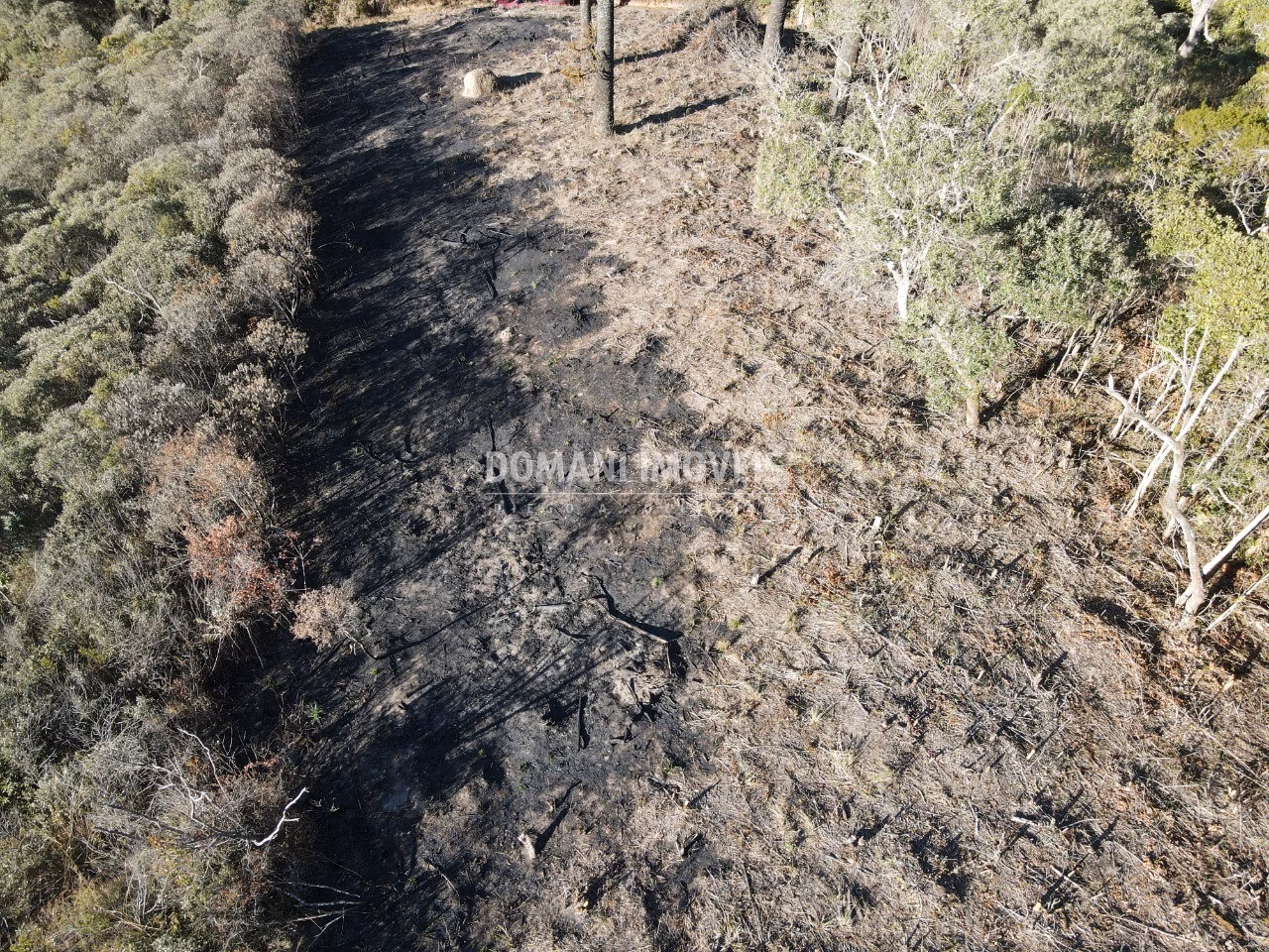 Terreno de 1,100 m² em Campos do Jordão, SP