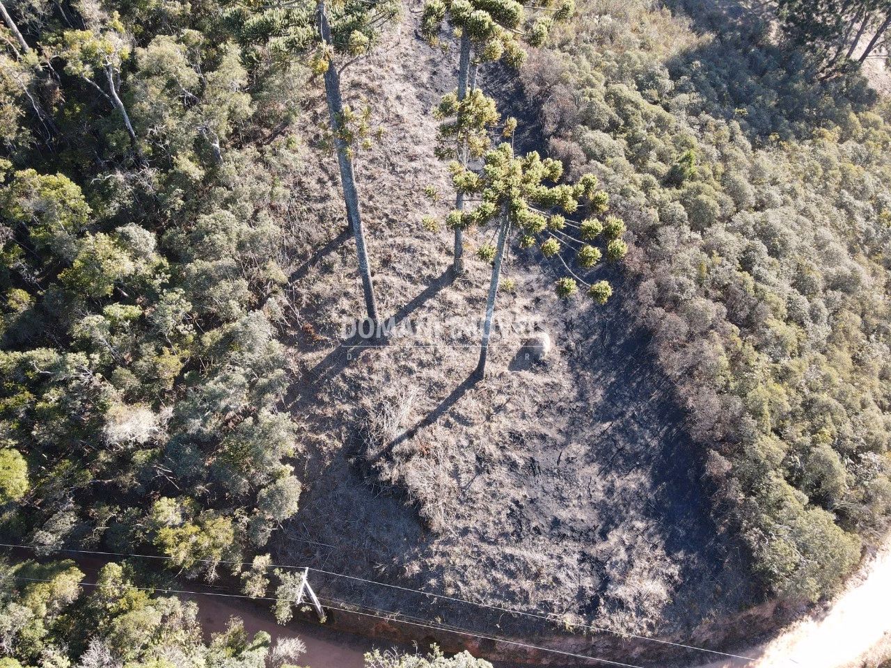 Plot of 1,100 m² in Campos do Jordão, SP, Brazil
