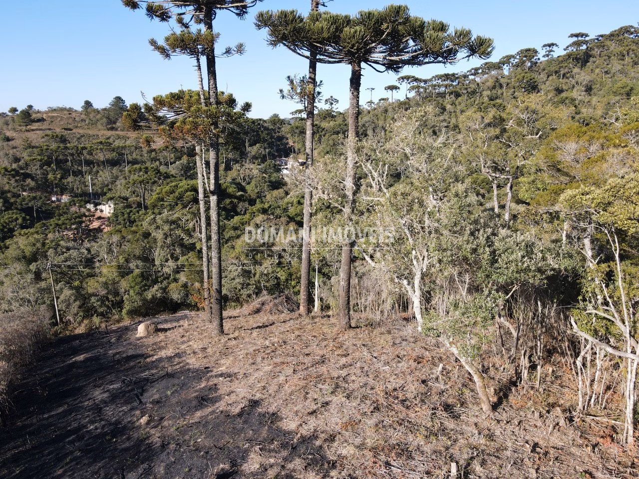 Plot of 1,100 m² in Campos do Jordão, SP, Brazil
