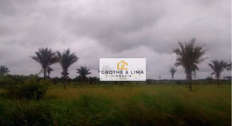 Fazenda de 49.961 ha em Presidente Vargas, MA