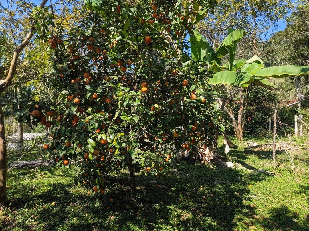 Country home of 7 acres in Rio do Sul, SC, Brazil