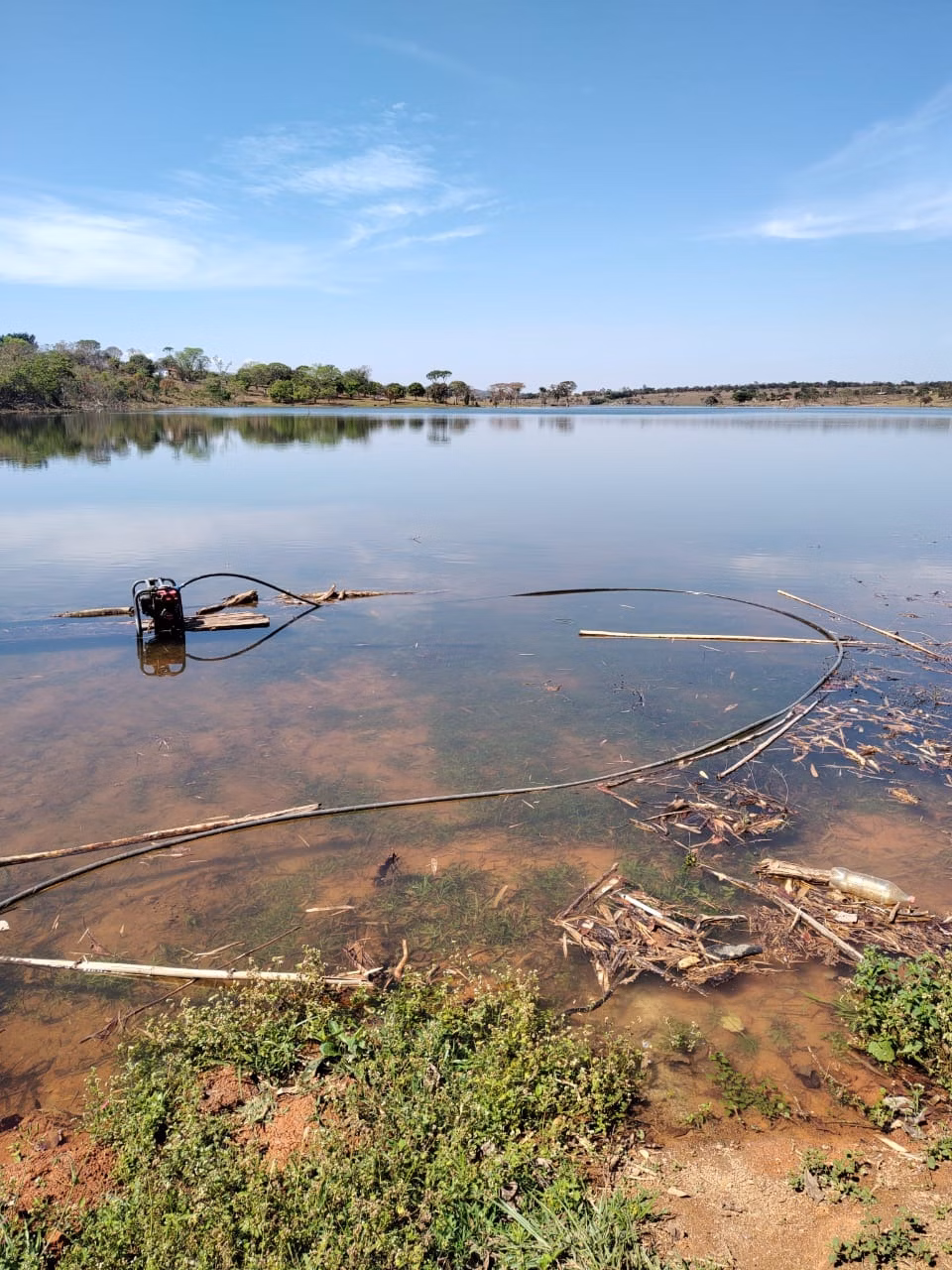 Fazenda de 100 ha em Luziânia, GO