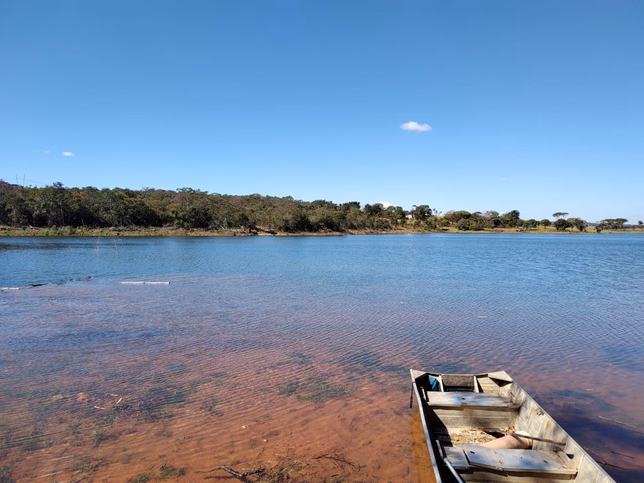 Fazenda de 100 ha em Luziânia, GO