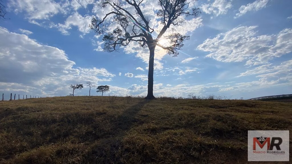 Sítio de 87 ha em Estiva, MG