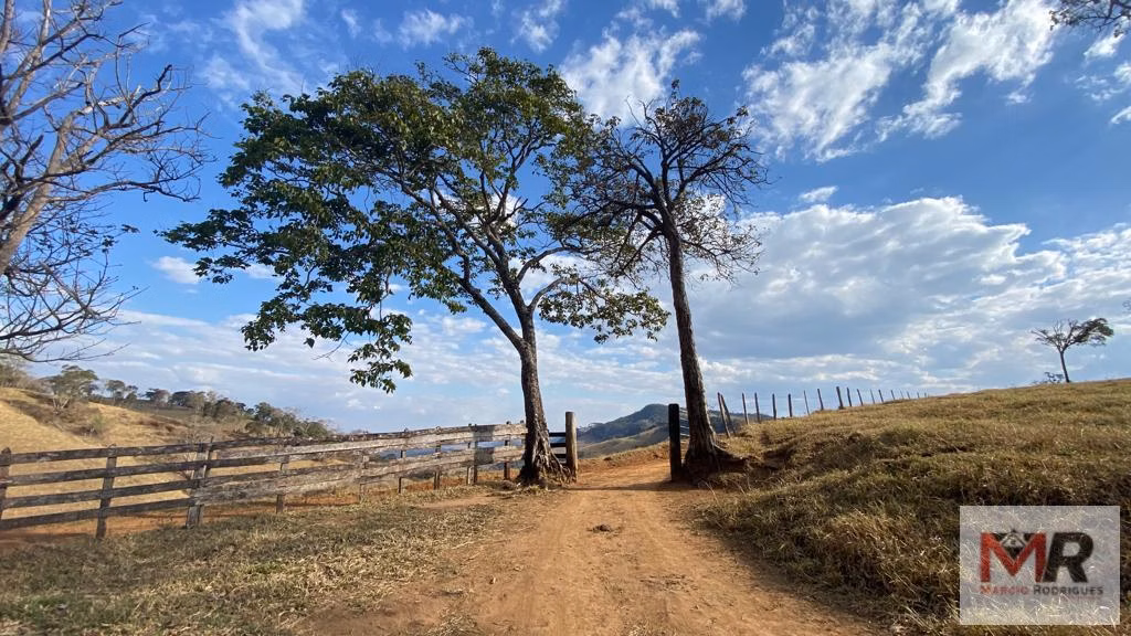 Sítio de 87 ha em Estiva, MG