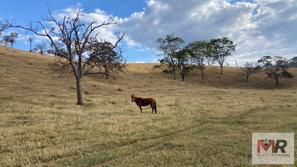 Sítio de 87 ha em Estiva, MG
