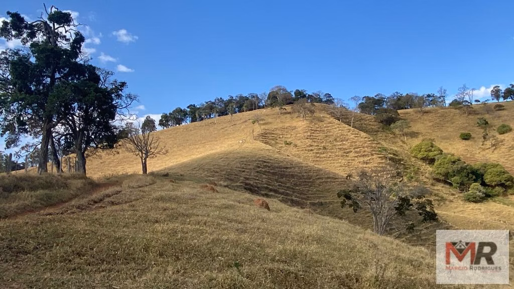Sítio de 87 ha em Estiva, MG