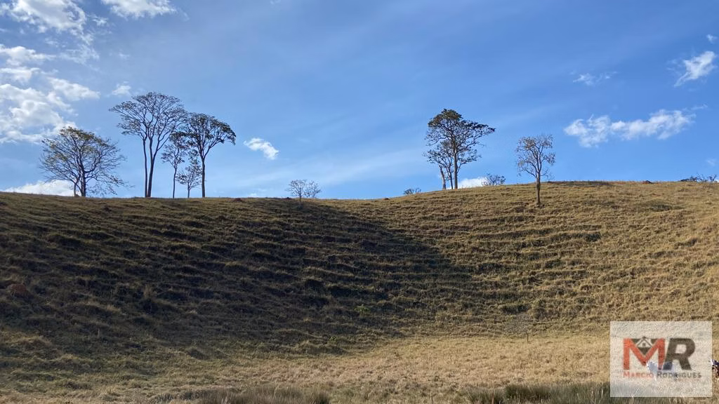 Sítio de 87 ha em Estiva, MG