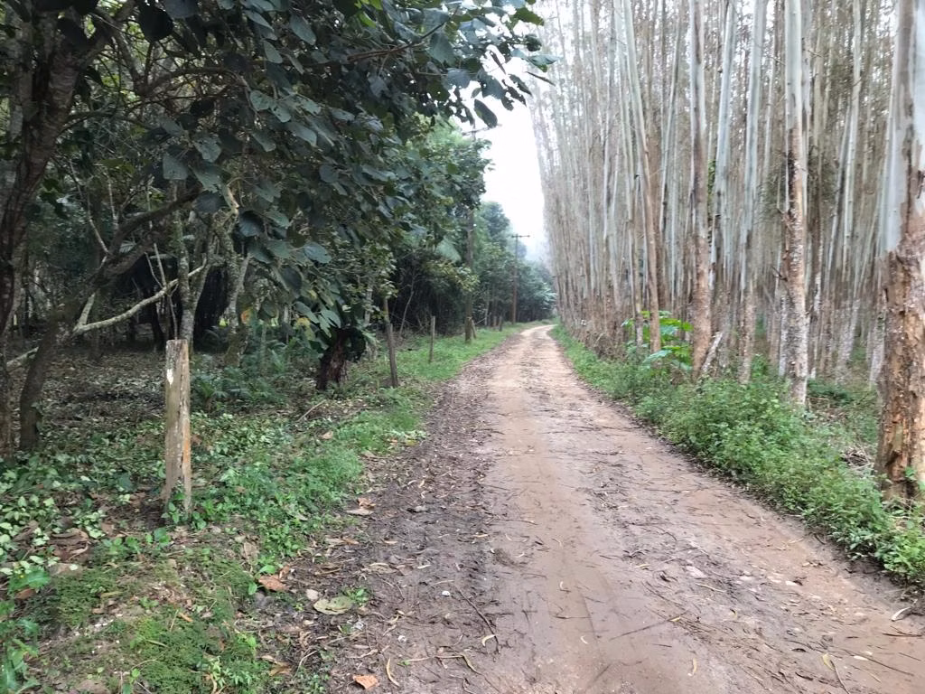 Sítio de 29 ha em Biritiba Mirim, SP