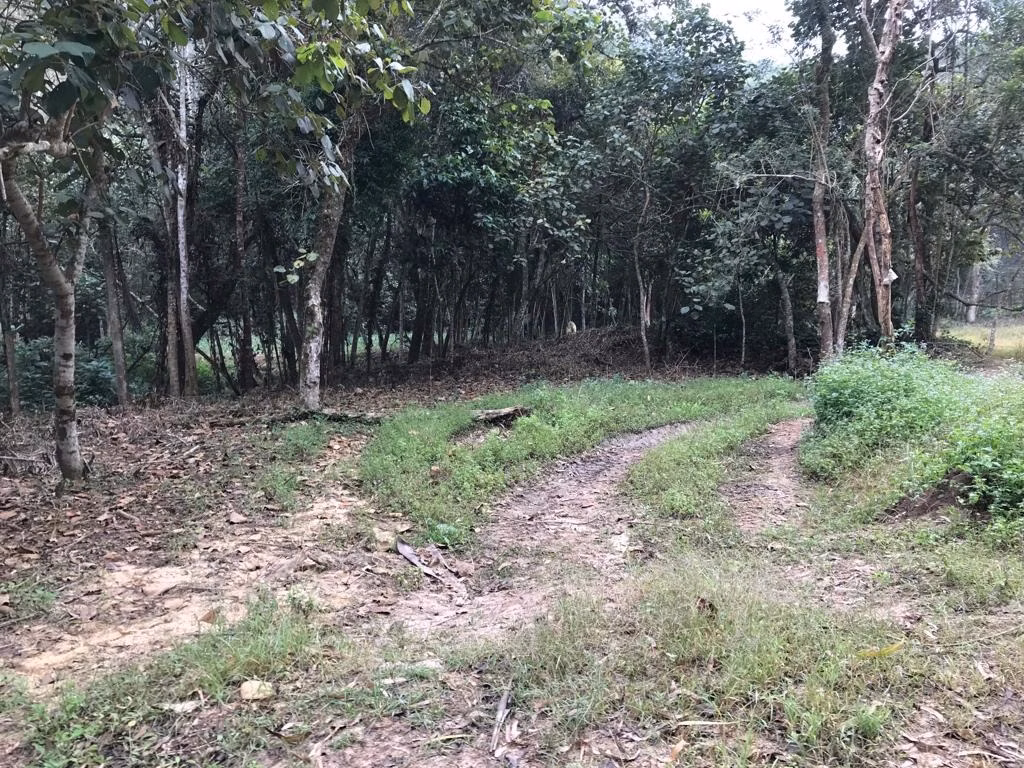 Sítio de 29 ha em Biritiba Mirim, SP