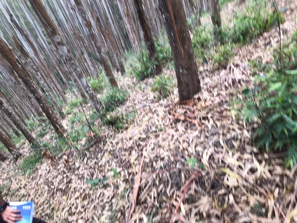 Sítio de 29 ha em Biritiba Mirim, SP