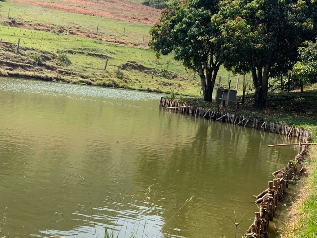 Small farm of 60 acres in Bofete, SP, Brazil