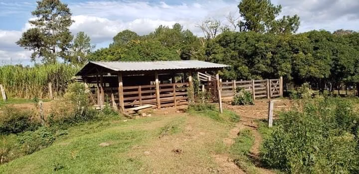 Small farm of 60 acres in Bofete, SP, Brazil