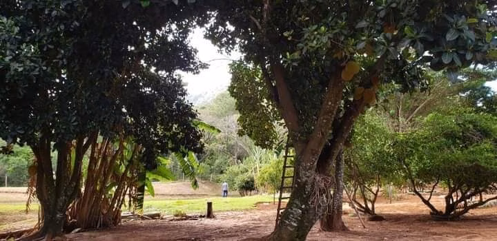 Small farm of 60 acres in Bofete, SP, Brazil