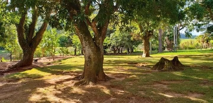 Small farm of 60 acres in Bofete, SP, Brazil