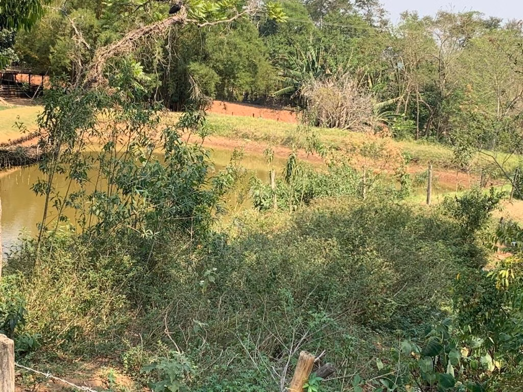 Small farm of 60 acres in Bofete, SP, Brazil