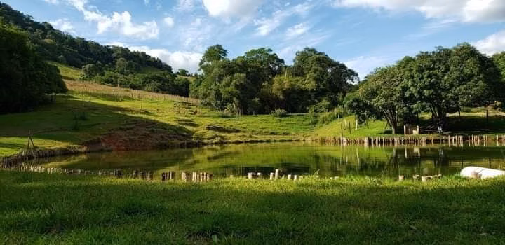 Small farm of 60 acres in Bofete, SP, Brazil