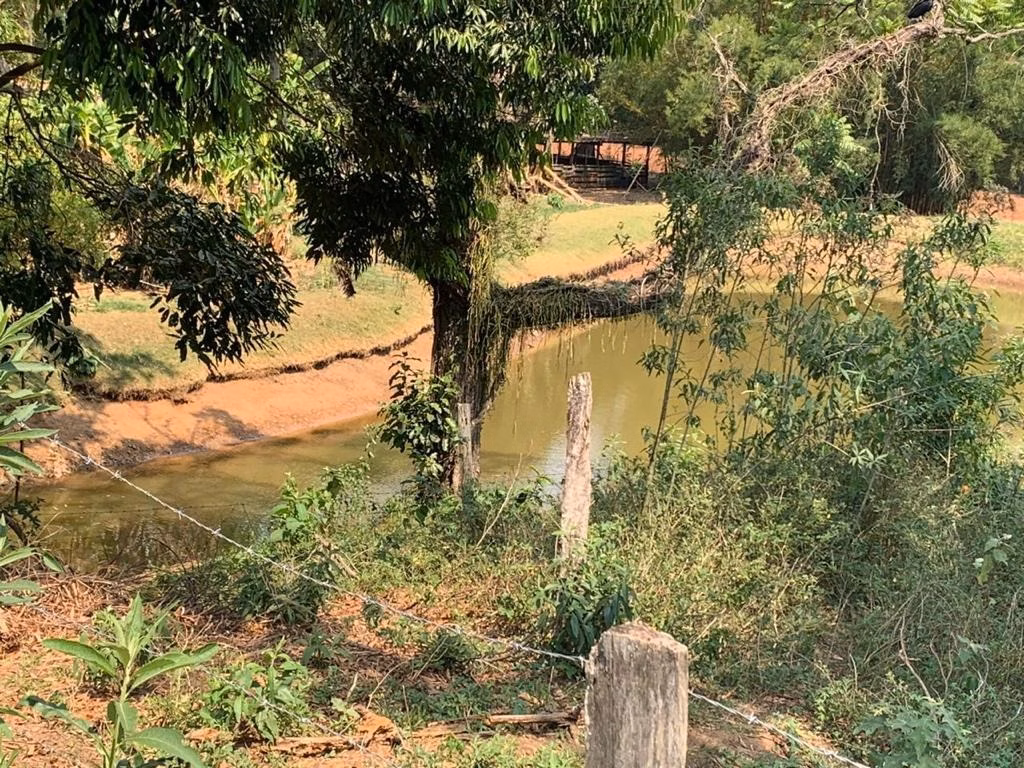 Small farm of 60 acres in Bofete, SP, Brazil