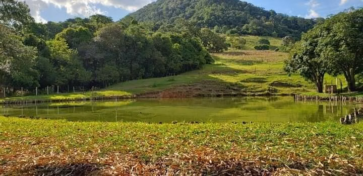 Small farm of 60 acres in Bofete, SP, Brazil