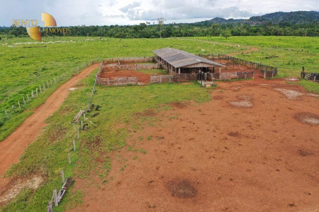 Fazenda de 6.780 ha em Brasnorte, MT