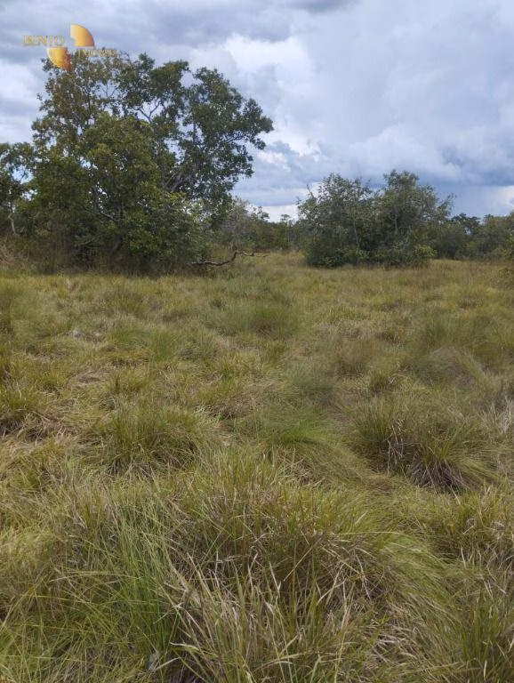 Fazenda de 190 ha em Santo Antônio de Leverger, MT