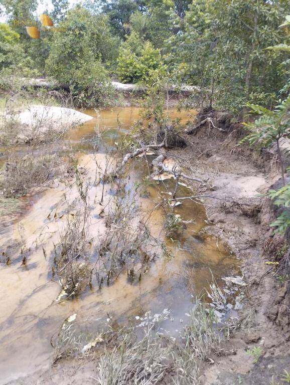Fazenda de 190 ha em Santo Antônio de Leverger, MT