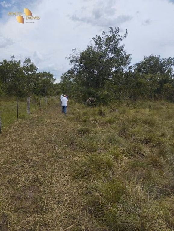 Fazenda de 190 ha em Santo Antônio de Leverger, MT