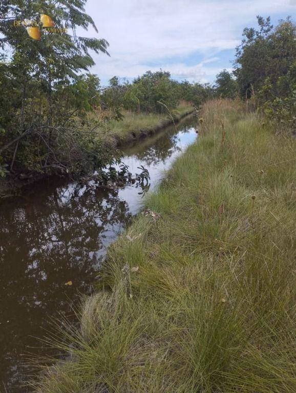 Fazenda de 190 ha em Santo Antônio de Leverger, MT