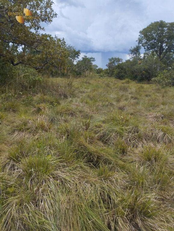 Fazenda de 190 ha em Santo Antônio de Leverger, MT