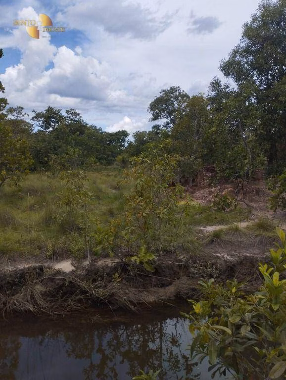 Fazenda de 190 ha em Santo Antônio de Leverger, MT