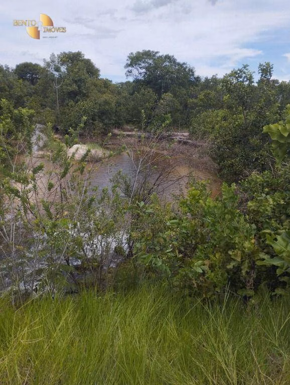 Fazenda de 190 ha em Santo Antônio de Leverger, MT