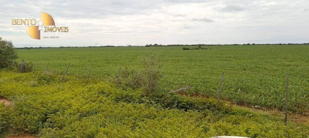 Fazenda de 727 ha em Poconé, MT