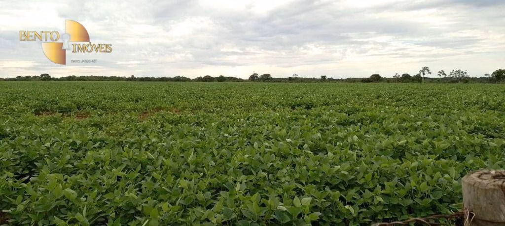 Fazenda de 727 ha em Poconé, MT