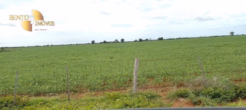 Fazenda de 727 ha em Poconé, MT