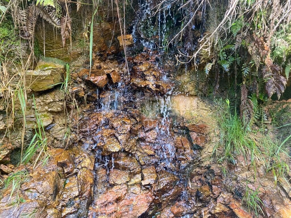 Farm of 12 acres in Major Gercino, SC, Brazil