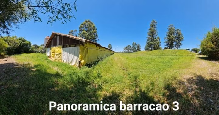Sítio de 24 ha em Itapetininga, SP