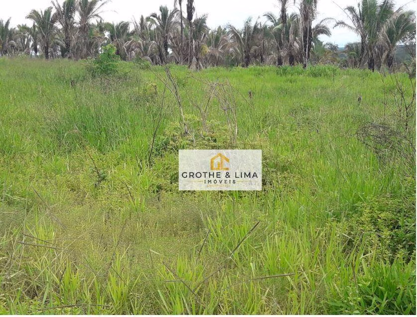 Farm of 6.949 acres in Recursolândia, TO, Brazil